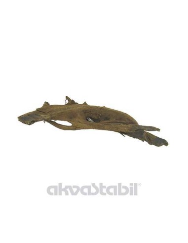 AKVASTABIL MADERA DE RAÍZ DURA PEQUEÑO - 2