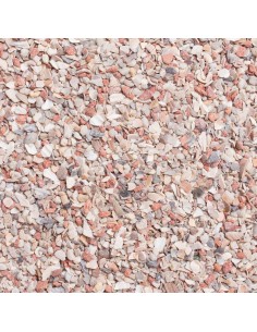 BEYERS PLUS GRIT VERDE PARA PALOMAS - 2 2