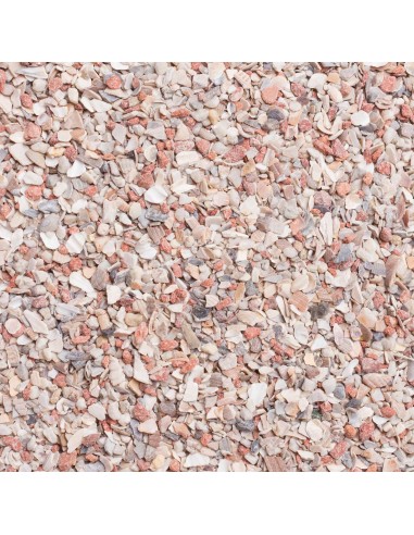 BEYERS PLUS GRIT VERDE PARA PALOMAS - 3