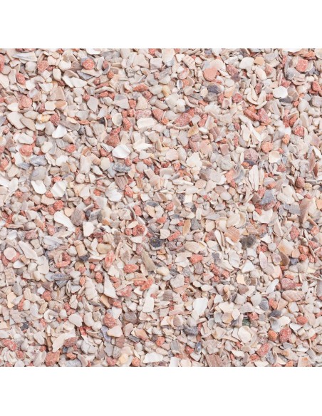 BEYERS PLUS GRIT VERDE PARA PALOMAS - 3