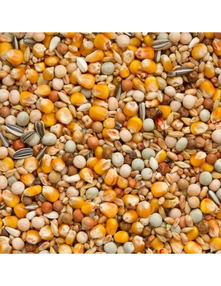 BEYERS MUDA CON MAÍZ CRIBBS - 2