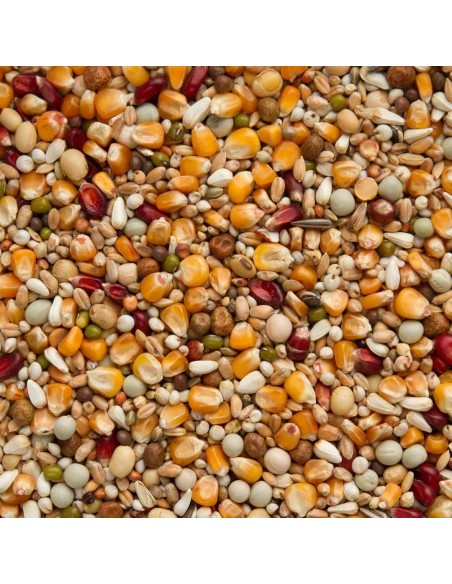 BEYERS MUDA CON MAÍZ CRIBBS - 3