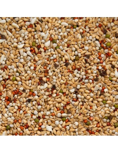 BEYERS SUPER DIETA - 2