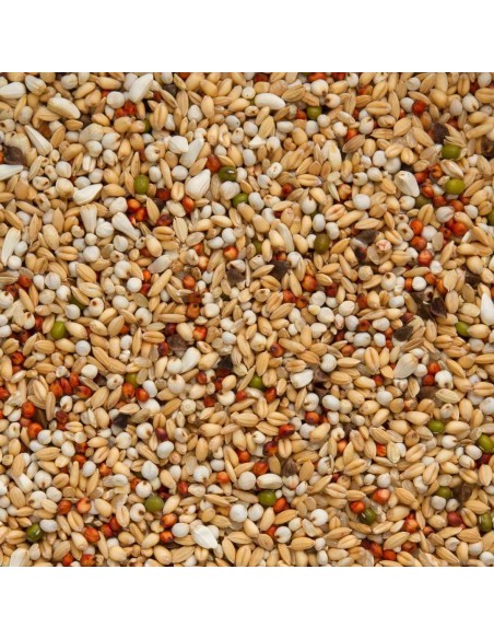 BEYERS SUPER DIETA - 2