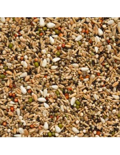 BEYERS MIXTURA RÁPIDA RECUPERACIÓN Y CAPTURA - 2