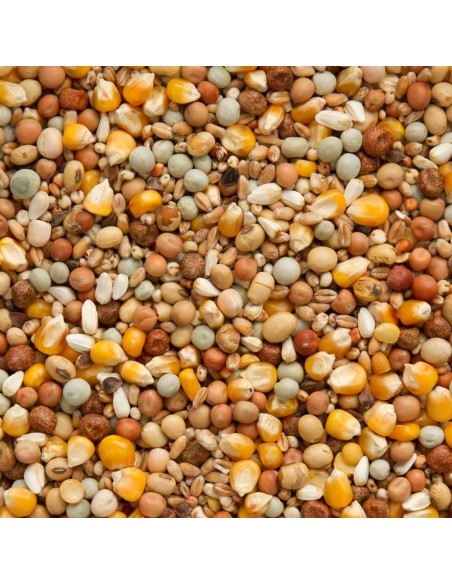 BEYERS CRÍA CON SOJA Y CRIBBS - 2