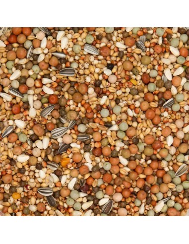 BEYERS OLYMPIA 48 CRÍA Y JÓVENES SIN MAÍZ - 3