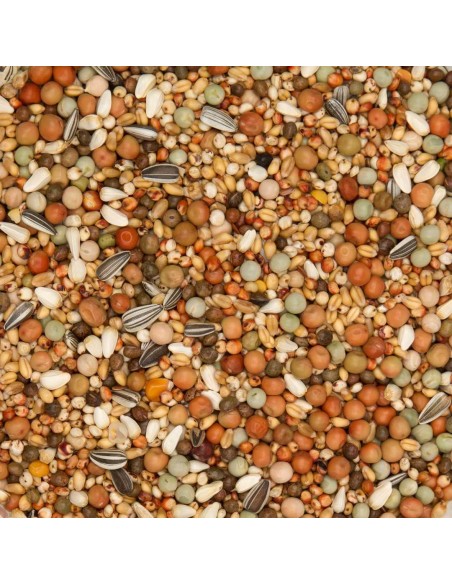 BEYERS OLYMPIA 48 CRÍA Y JÓVENES SIN MAÍZ - 3