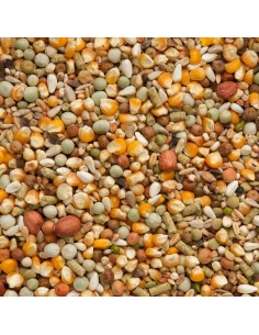 BEYERS PREMIUM KOOPMAN - 2 2