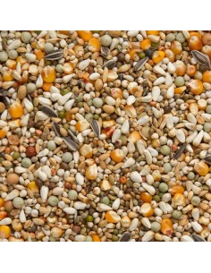 BEYERS PRANGE GRAND PRIX - 2