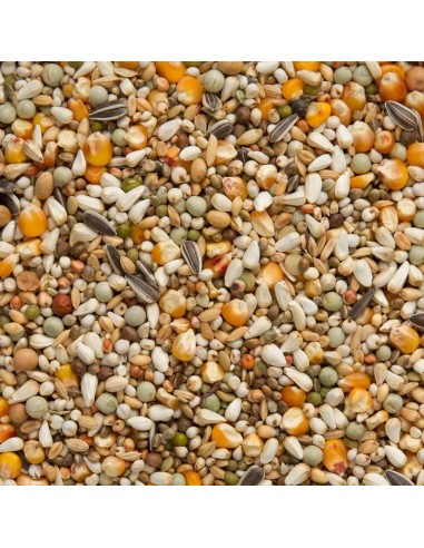 BEYERS PRANGE GRAND PRIX - 2