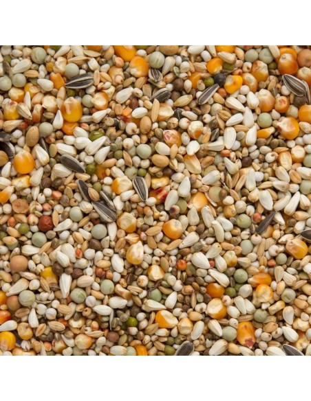 BEYERS PRANGE GRAND PRIX - 2