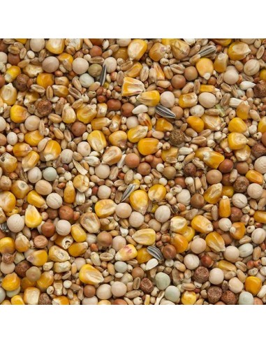 BEYERS PALOMAS CUATRO ESTACIONES ESPECIAL - 2