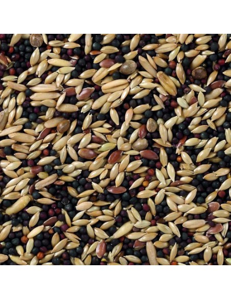 DELI NATURE Nº 50 CANARIOS BASE - 20 KG 20 KG - 3