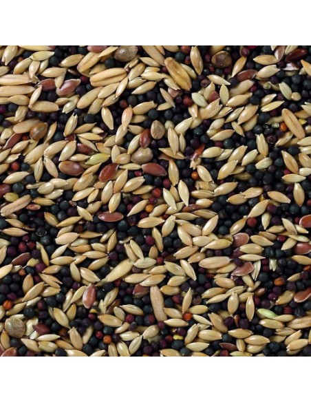 DELI NATURE EXTRA CANARIOS - 20 KG 20 KG - 3