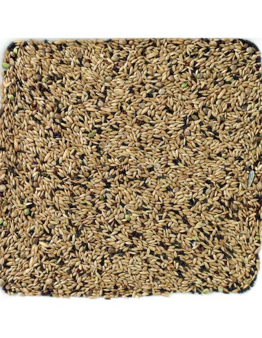 DELI NATURE LIGHT CANARIOS - 20 KG 20 KG - 3