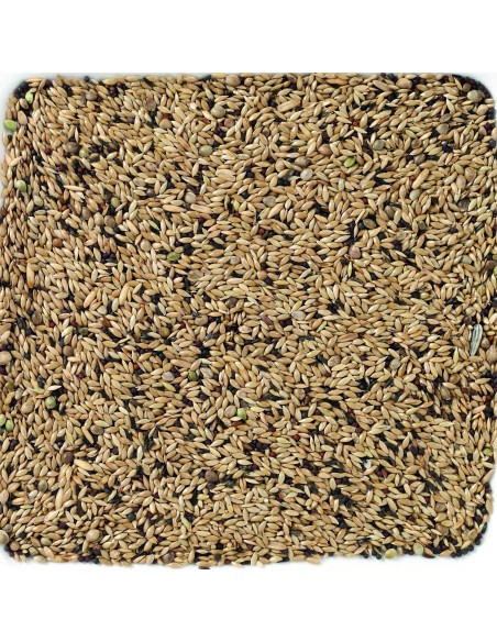 DELI NATURE LIGHT CANARIOS - 20 KG 20 KG - 3