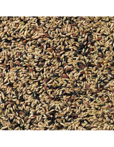 DELI NATURE Nº 80 CANARIOS CRÍA SIN NABINA - 20 KG 20 KG - 3