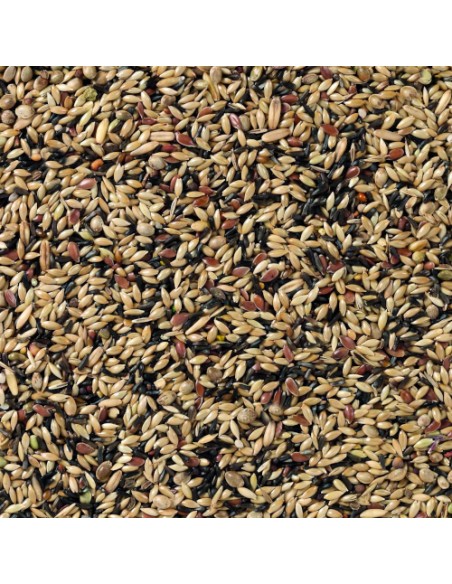 DELI NATURE Nº 80 CANARIOS CRÍA SIN NABINA - 20 KG 20 KG - 3