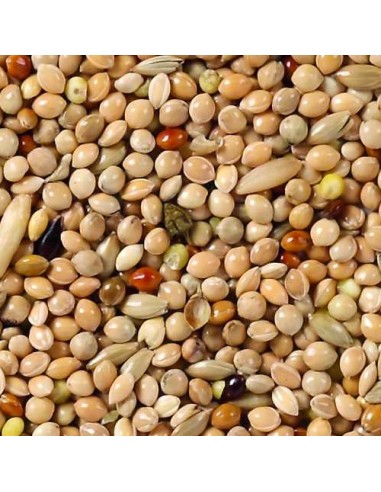 DELI NATURE PERIQUITOS BASIC - 20 KG 20 KG - 3