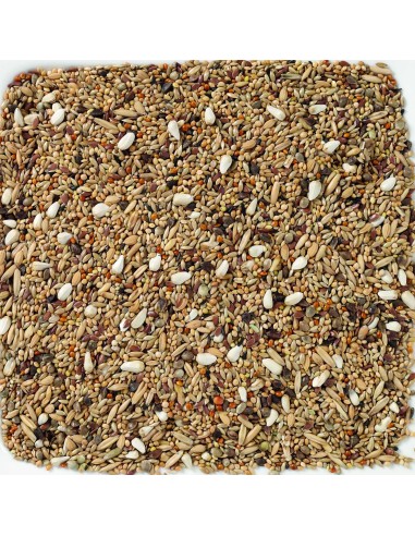 DELI NATURE Nº 68 AGAPORNIS, NINFAS Y COTORRAS SIN PIPAS - 20 KG 20 KG - 3