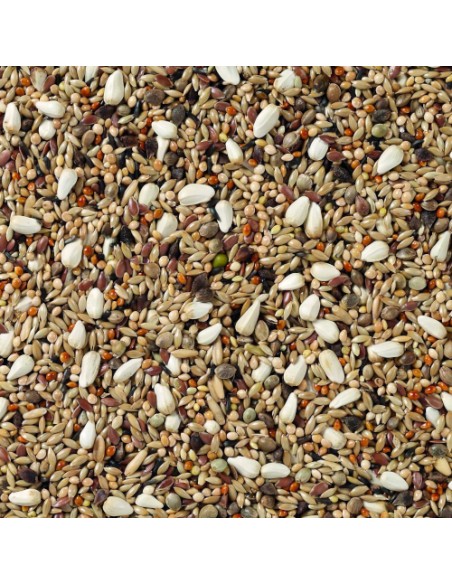 DELI NATURE Nº 72 AGAPORNIS CHAMPION - 20 KG 20 KG - 3