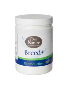 DELI NATURE BREED+ - 500 GR 500 GR - 2