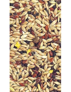 KIKI MIXTURA PARA CANARIOS SIN AVENA 5 KG - 2