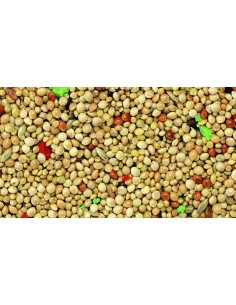 KIKI ALIMENTO PARA PAJAROS EXÓTICOS - 5 KG 5 KG - 2