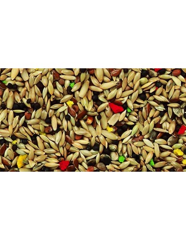 KIKI MIXTURA CON ALPISTE STANDARD VITAMINADA - 25 KG - 2