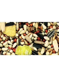 KIKI MIXTURA PARA LOROS PREMIUM PROFESIONAL - 2