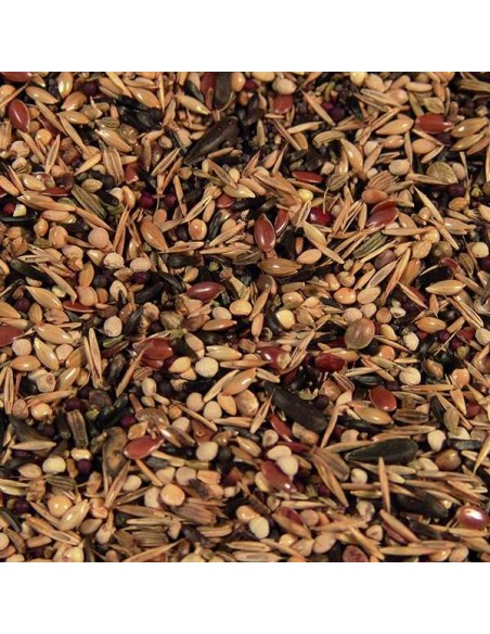 KIKI PRO JILGUEROS PREMIUM 5 KG 15 KG - 2