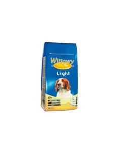 WILLOWY GOLD LIGHT - 2