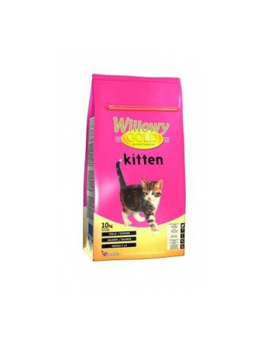 WILLOWY GOLD KITTEN - 2