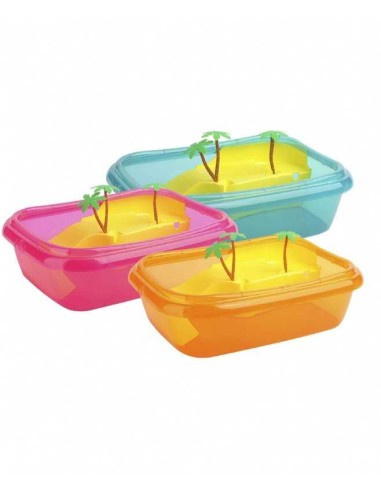 2G-R TORTUGUERA ISCHIA 