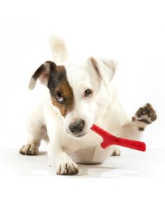 BAMA PET MORDEDOR TUTTOMIO 11 X 4 X 37 CM 8 X 2 5 25 CM 5 X 1 5 X 16 CM 2