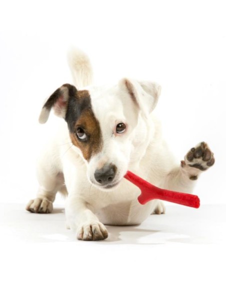 BAMA PET MORDEDOR TUTTOMIO 11 X 4 X 37 CM 8 X 2 5 25 CM 5 X 1 5 X 16 CM