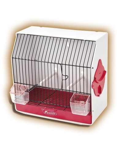 PEDRÓS JAULA PEDROS CONCURSO CURIOSA