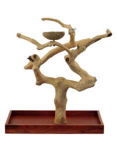 JAVA WOOD PARQUE LOROS 57 X 37 CM - 2