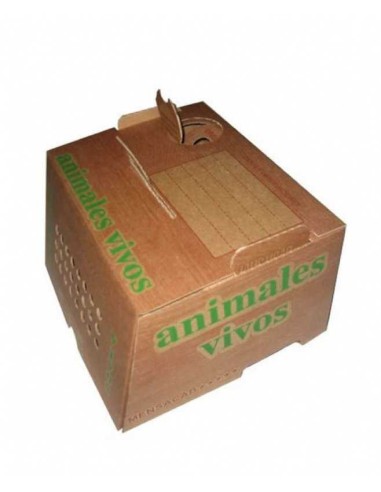 RSL TRANSPORTIN MENSAJERÍA MENSACAB