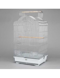 para Ninfas, y Cotorras ▷ tamaños!