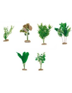 MGZ ALAMBER PLANTAS DE PLASTICO