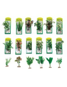 MGZ ALAMBER PLANTAS DE PLASTICO 2