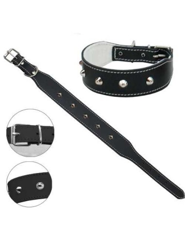 PETPALL COLLAR BULLDOG FRANCES  - 2