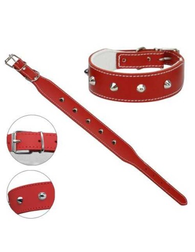 PETPALL COLLAR BULLDOG INGLES 