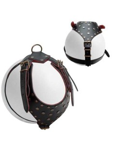 PETPALL ARNES PIT-BULL CON REMACHES 