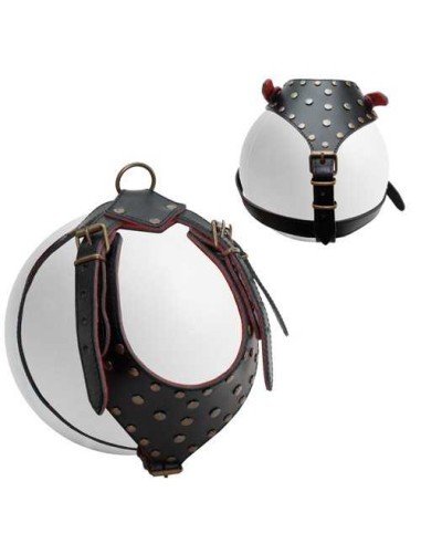 PETPALL ARNES PIT-BULL CON REMACHES 