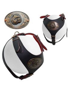 PETPALL ARNES PIT-BULL CON PLACA 