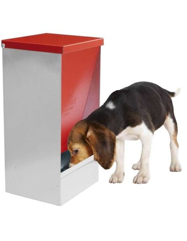 COPELE COMEDERO TOLVA CAN MASTER JUNIOR - 2