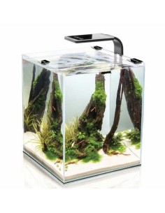 AQUAEL ACUARIO COMPLETO SHRIMP NEGRO 